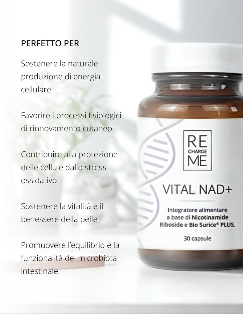 VITAL NAD+