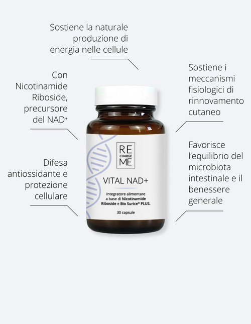 Carica immagine 1 in visualizzazione galleria
