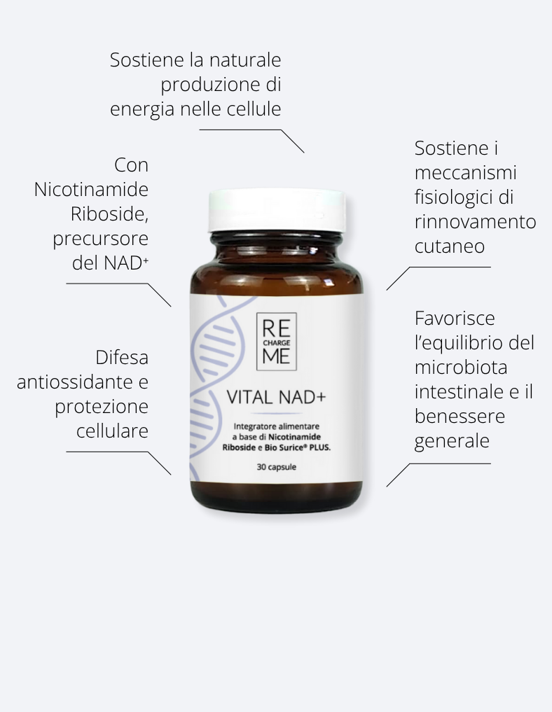 VITAL NAD+